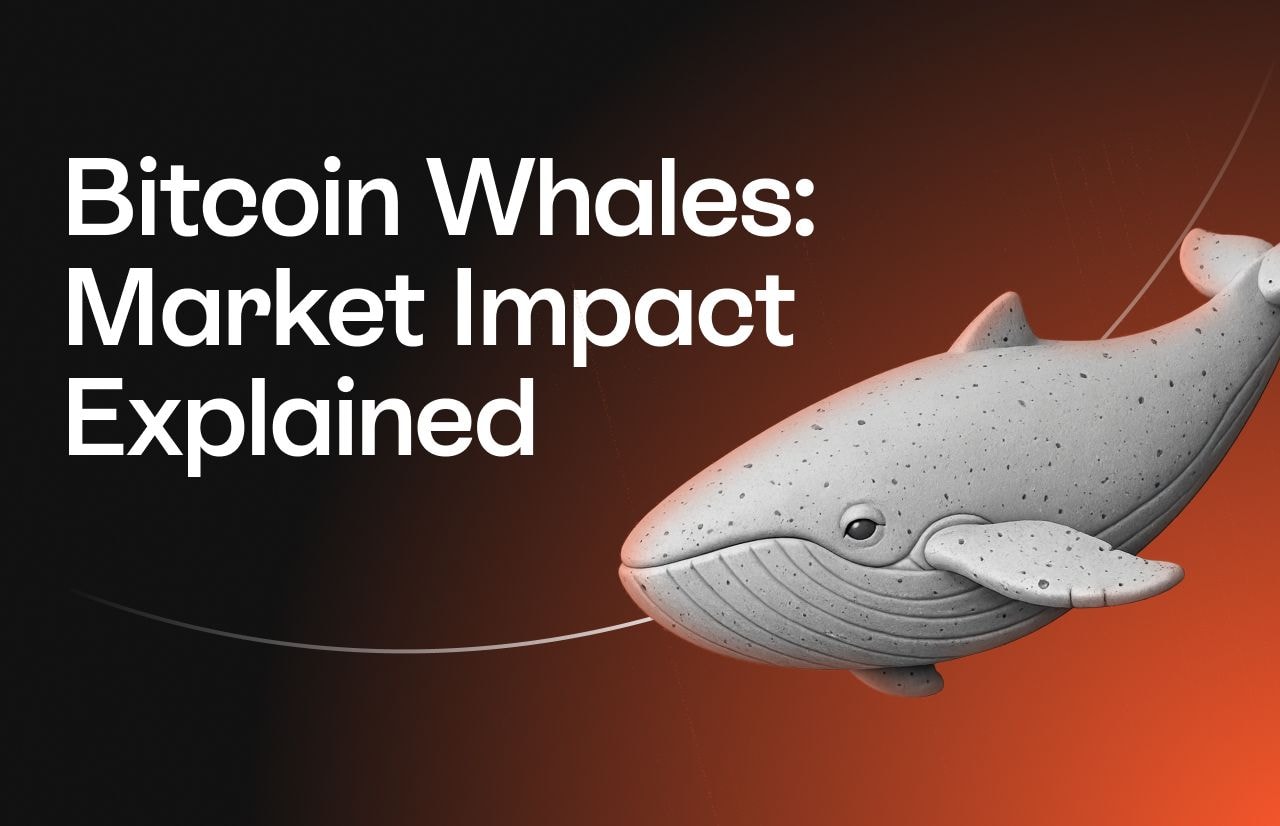Bitcoin Whales: Market Impact Explained