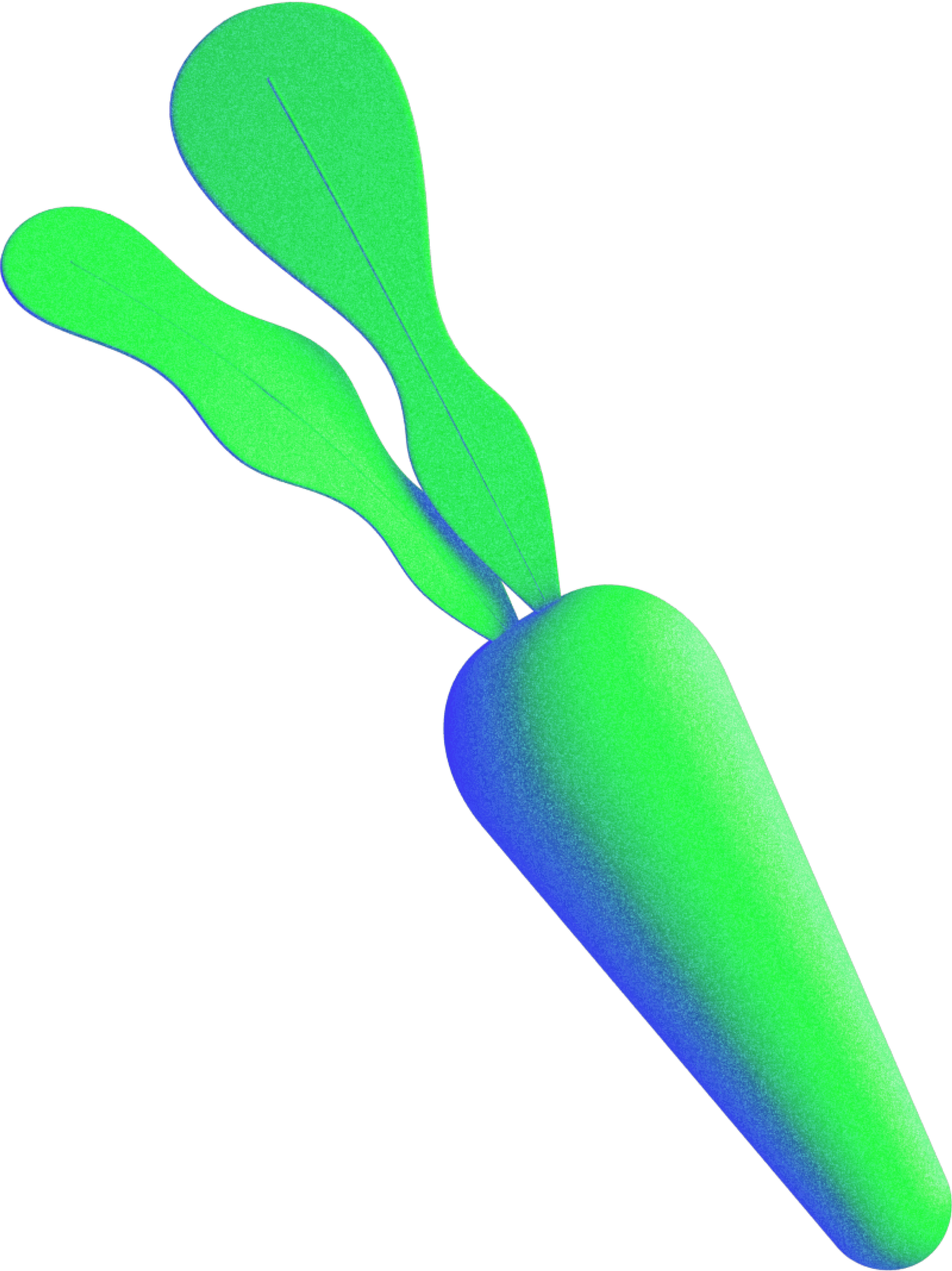 carrot